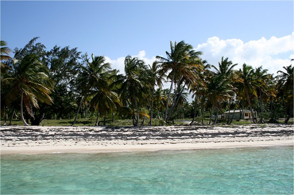 La République Dominicaine, 2007
